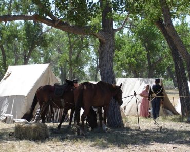Packing Checklist for Camping Adventures With Horse