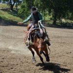 horse riding adelaide