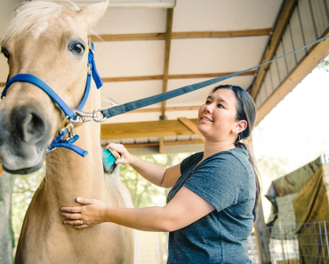 Horse Grooming: How and Why?